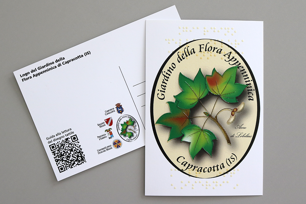 foro della cartolina visivo-tattile raffigurante il logo del Giardino della Flora Appenninica di Capracotta
